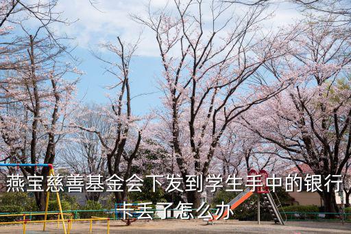 燕寶慈善基金會下發到學生手中的銀行卡丟了怎么辦