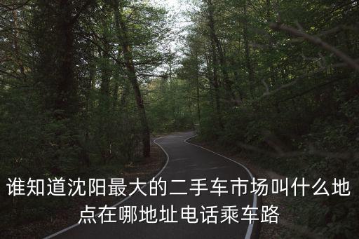 誰知道沈陽最大的二手車市場叫什么地點在哪地址電話乘車路
