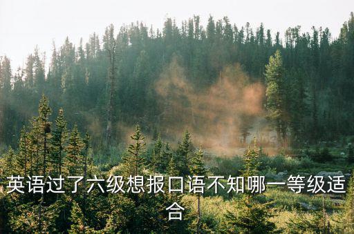 英語過了六級想報(bào)口語不知哪一等級適合