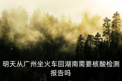 明天從廣州坐火車回湖南需要核酸檢測報告嗎