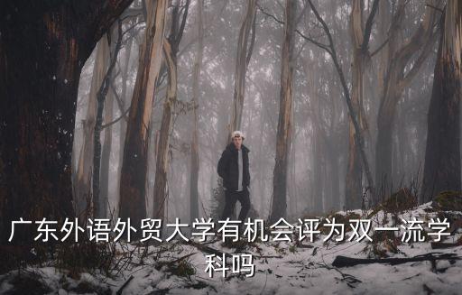 廣東外語外貿大學有機會評為雙一流學科嗎