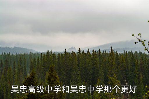 吳忠高級中學(xué)和吳忠中學(xué)那個更好