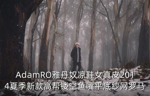 AdamRO雅丹奴涼鞋女真皮2014夏季新款高幫鏤空魚嘴平底紗網羅馬
