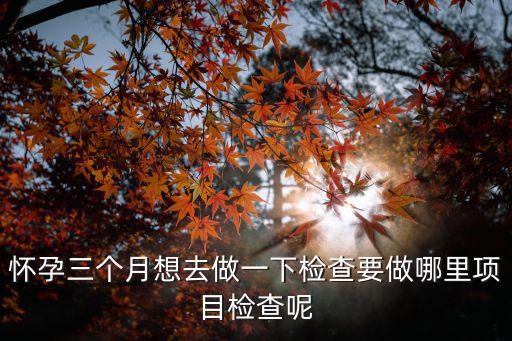 懷孕三個月想去做一下檢查要做哪里項目檢查呢