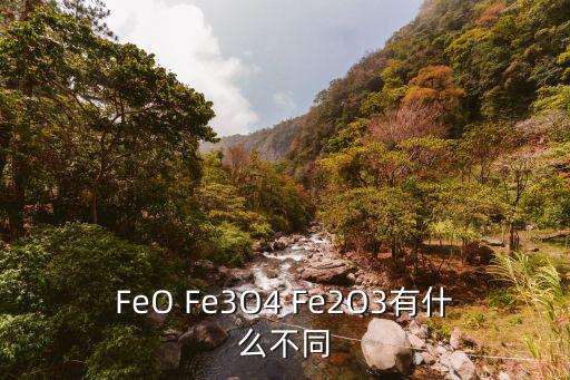 FeO Fe3O4 Fe2O3有什么不同