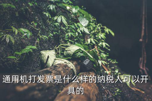 通用機打發票是什么樣的納稅人可以開具的