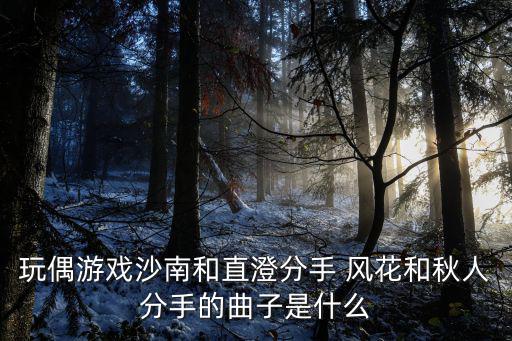 沙南，快過年了沙北好冷清好久沒去過沙南了不知道沙南熱鬧不