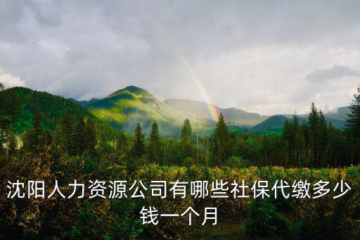 沈陽人力資源公司有哪些社保代繳多少錢一個月