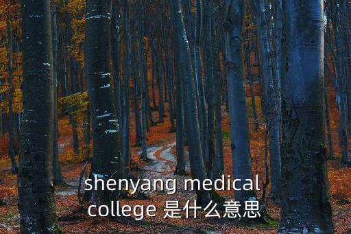 shenyang medical college 是什么意思