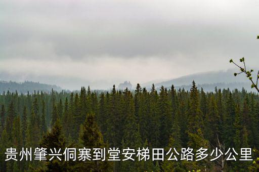 貴州肇興侗寨到堂安梯田公路多少公里