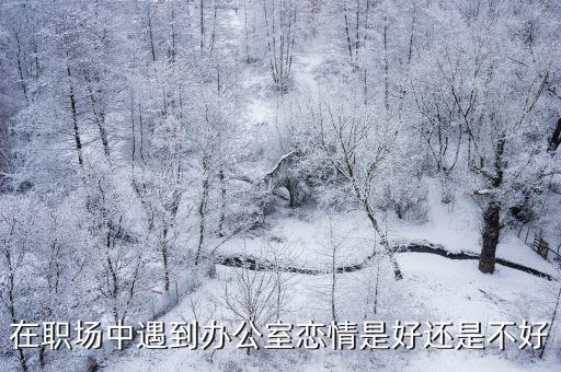辦公室的愛情，辦公室里的愛情如何可以嗎