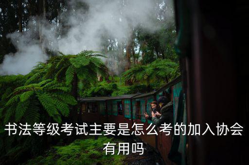 書法等級考試主要是怎么考的加入協會有用嗎