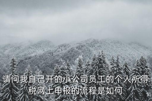怎么申報個人所得稅網上申報流程，怎么在網上報稅個人所得稅