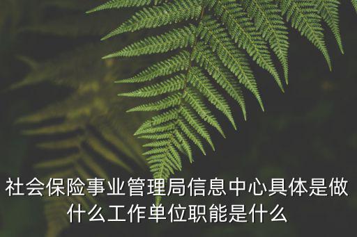 社會(huì)保險(xiǎn)事業(yè)管理局信息中心具體是做什么工作單位職能是什么