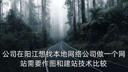 公司在陽江想找本地網絡公司做一個網站需要作圖和建站技術比較