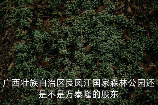 廣西壯族自治區良鳳江國家森林公園還是不是萬泰隆的股東