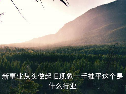 新事業從頭做起舊現象一手推平這個是什么行業