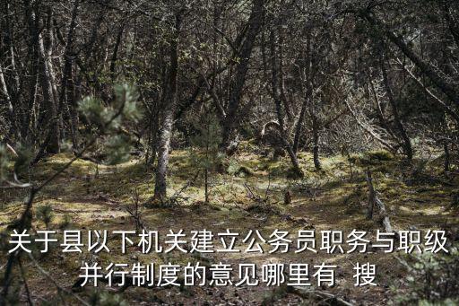 關于縣以下機關建立公務員職務與職級并行制度的意見哪里有  搜
