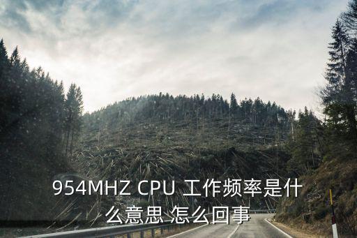 954MHZ CPU 工作頻率是什么意思 怎么回事