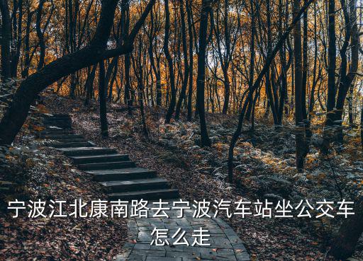 寧波江北康南路去寧波汽車站坐公交車怎么走