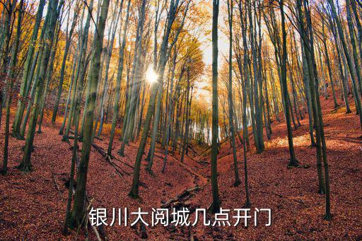 銀川大閱城幾點開門