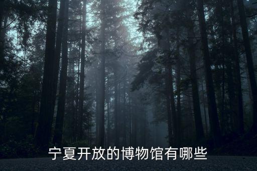 寧夏地質(zhì)博物館，寧夏開放的博物館有哪些