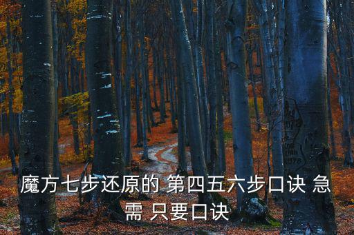 魔方七步還原的 第四五六步口訣 急需 只要口訣