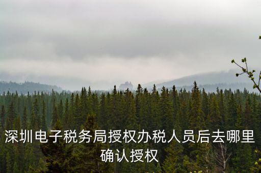 深圳電子稅務局授權辦稅人員后去哪里確認授權
