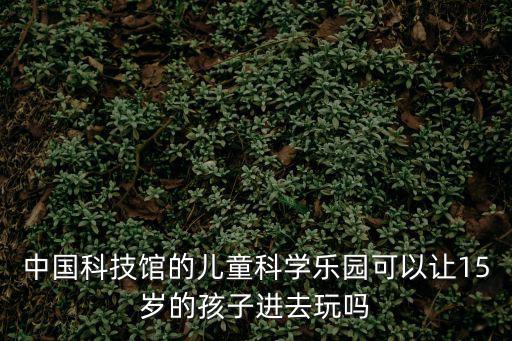 中國科技館的兒童科學(xué)樂園可以讓15歲的孩子進(jìn)去玩嗎