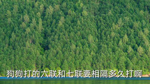 狗狗打的六聯和七聯要相隔多久打啊