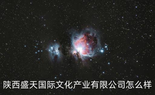 陜西盛天國際文化產業有限公司怎么樣