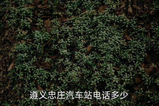 遵義忠莊客運站，遵義忠莊客運站是火車站旁邊啊個么