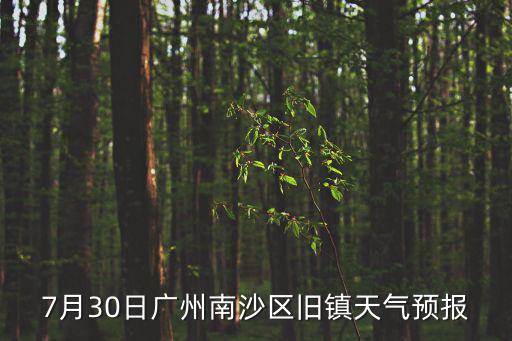 7月30日廣州南沙區(qū)舊鎮(zhèn)天氣預(yù)報(bào)