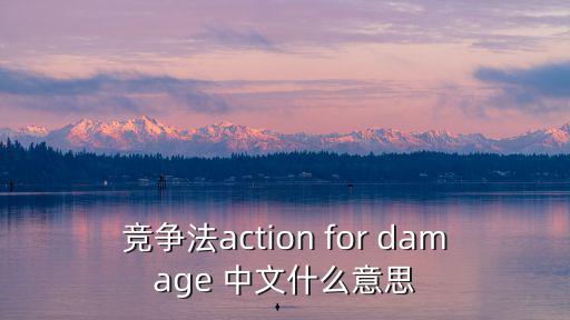 競爭法action for damage 中文什么意思