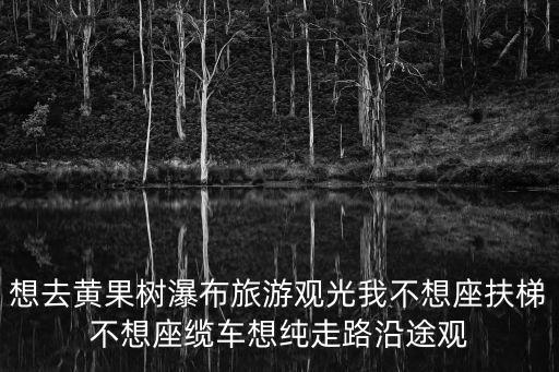 想去黃果樹瀑布旅游觀光我不想座扶梯不想座纜車想純走路沿途觀