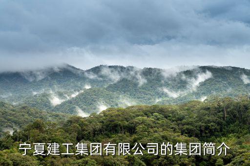 寧夏建工集團有限公司的集團簡介