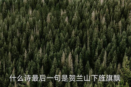什么詩最后一句是賀蘭山下旌旗飄