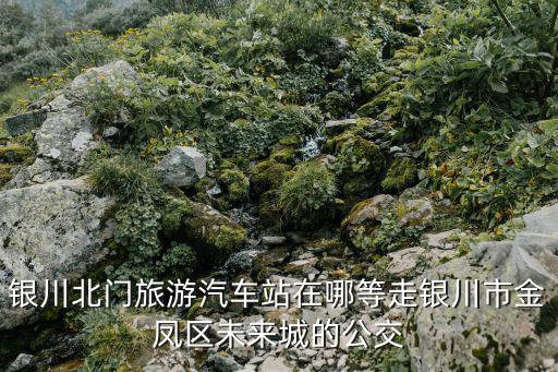 銀川北門旅游汽車站在哪等走銀川市金鳳區未來城的公交