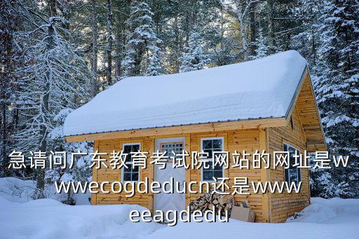 急請問廣東教育考試院網站的網址是wwwecogdeducn還是wwweeagdedu