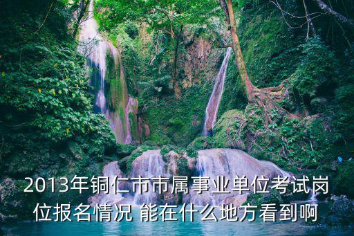 銅仁市人力資源和社會保障局，銅仁市碧江區人力資源和社會保障局在哪個位置