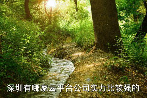 深圳有哪家云平臺(tái)公司實(shí)力比較強(qiáng)的