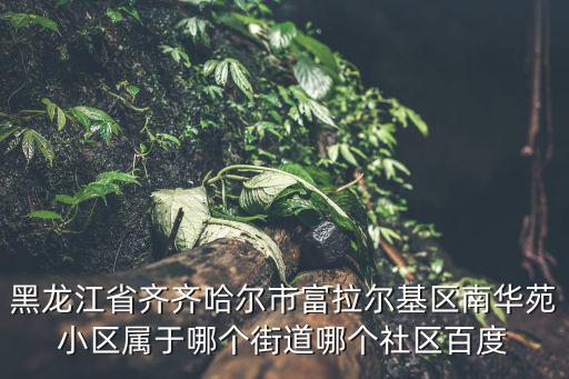 黑龍江省齊齊哈爾市富拉爾基區南華苑小區屬于哪個街道哪個社區百度