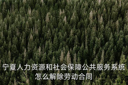 寧夏人社廳，寧夏人力資源和社會保障廳怎么走