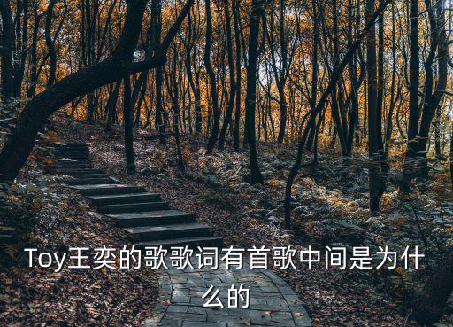 Toy王奕的歌歌詞有首歌中間是為什么的