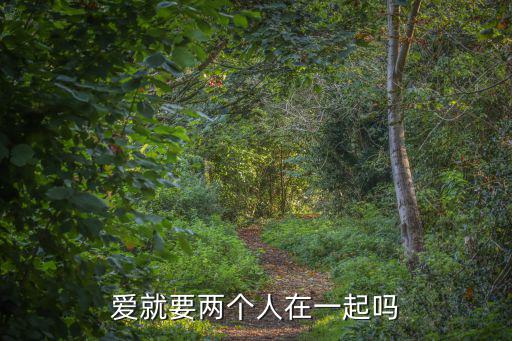 愛就要兩個人在一起嗎