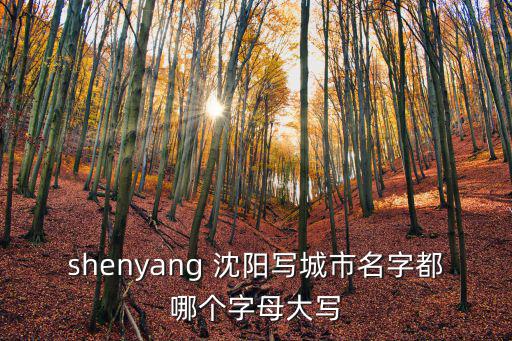 shenyang，shenyang 沈陽寫城市名字都哪個字母大寫