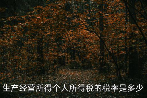 生產(chǎn)經(jīng)營所得個人所得稅的稅率是多少