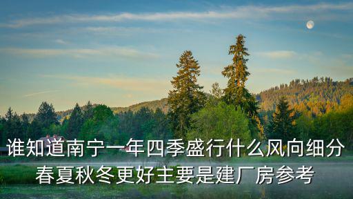 南寧的風，誰知道2005年南寧國際民歌節的流行風是什么