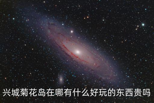 葫蘆島菊花島，興城菊花島在哪有什么好玩的東西貴嗎