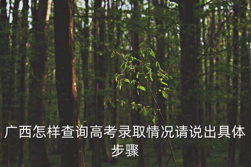 廣西怎樣查詢高考錄取情況請說出具體步驟